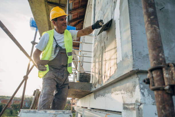 Best Insulation Inspection Services  in Tonka Bay, MN